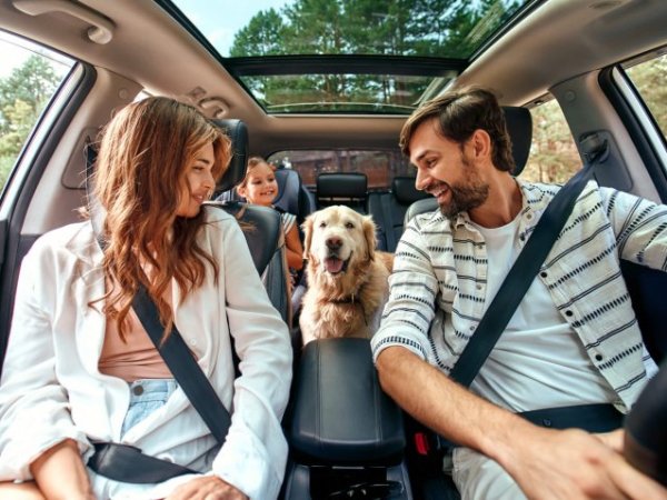 Guía para un viaje largo en auto
