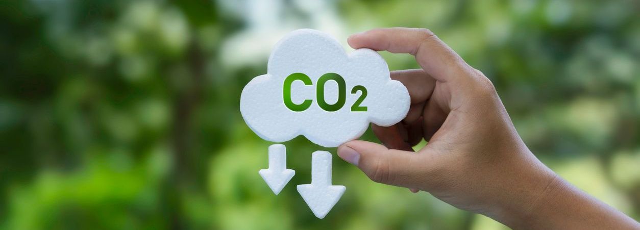 ¿Cómo reducir la huella de carbono? Consejos prácticos para tu día a día