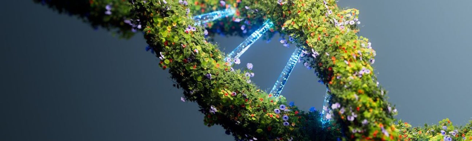 ¿Qué es la energía verde y cuáles son sus ventajas?