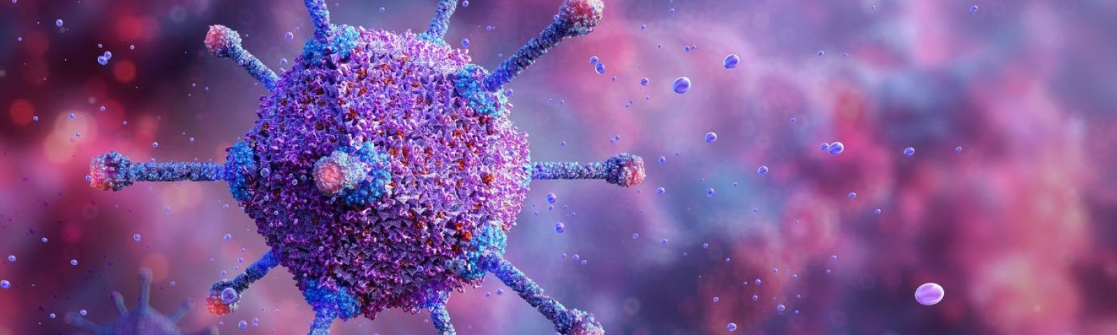 Virus Nipah: Síntomas y cómo prevenir el contagio