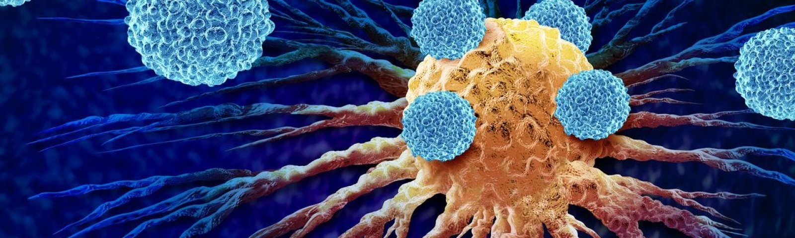 Inmunoterapia: ¿Qué es y cómo combate el cáncer?