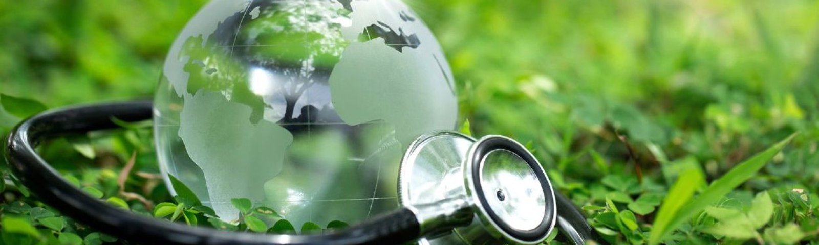 Día Mundial de la Salud: hábitos preventivos para cuidar tu bienestar