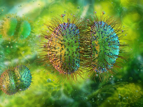 Campaña de Invierno: Todo sobre la vacuna contra el virus sincicial.