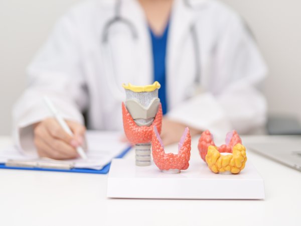 Tiroiditis de Hashimoto: la enfermedad de tiroides que muchas mujeres tienen sin saberlo